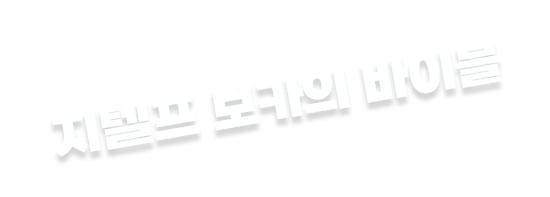 지텔프 보카의 바이블